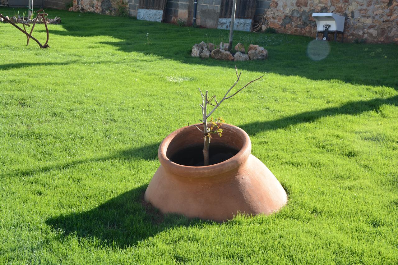 Casa Rural Aromas De La Manchuela Alborea Екстер'єр фото